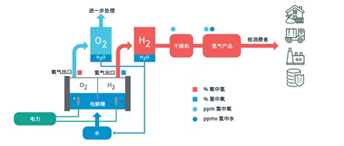 什么是电解水制氢？